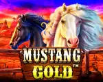 Mustang Gold